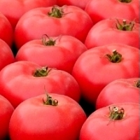 Pomidor Bawole Serce Oxheart - gruntowy Malinowy:
