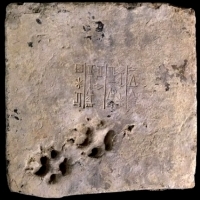 Odcisk psiej łapy z cegły znalezionej 5000 lat temu w Ur, sumeryjskim państwie-mieście.