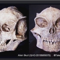 Tajemnicza skamieniała czaszka humanoidalna znaleziona w Afryce w 2010 roku.