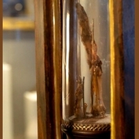 Kciuk, środkowy palec i ząb Galileusza, w oryginalnym przypadku, są teraz połączone z jego drugim palcem i wystawione we Florencji.