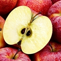Nie jedz nasion jabłek! Mogą być bardzo niebezpieczne dla zdrowia.