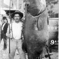 Edward Llewellen z rekordzistą świata na okonia czarnomorskiego  ( 192 kg), którego złowił na wyspie Catalina w Kalifornii, 1903.