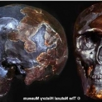 Naukowcy datują najstarszą znaną ludzką czaszkę na 233 000 lat.