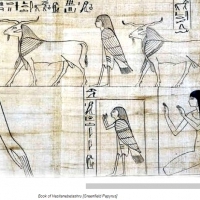 The Hieroglyphs of God's Electric Kingdom: Book of Earths Electrical Connection.