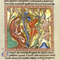 Jednorożec jest podstawowym przykładem złożonej symboliki bestiariusza, a także jego wpływu na wyobraźnię średniowieczną i nowożytną.