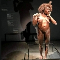 Odtworzenie kobiety Homo erectus, która żyła około 2 miliony lat temu.