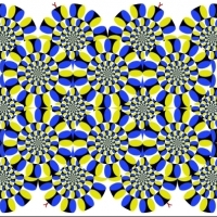 Jeżeli ktoś jest ciekawy, jak wygląda iluzja Kitaoki.