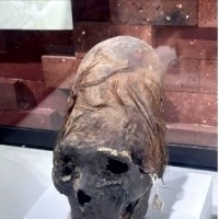 Starożytna wydłużona czaszka z Iranu.