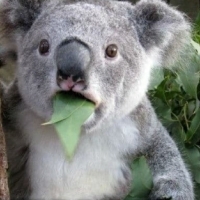 Brawo! Dla takiej nauki warto żyć!  Rok 2022.