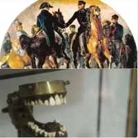 Zęby pobrane z martwych żołnierzy po bitwie pod Waterloo, z których robiono protezy.