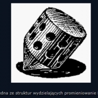 Platforma antygrawitacyjna Wiktora Stiepanowicza Grebennikowa.