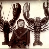 Chłopiec między dwoma homarami złowionymi u wybrzeży New Jersey, luty 1915.