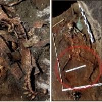 Archeolodzy odkryli niedawno kości, broń i nakrycia głowy czterech prawdziwych wojowniczek Amazonek.