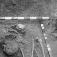 najciekawszym ze wszystkich jest 10-metrowy szkielet znaleziony w 1976 r.