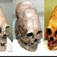 Kolejne testy sprawiły, że czaszki Paracas stały się jeszcze bardziej tajemnicze: