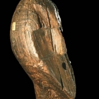 Liczący 10 000 lat Idol Szygirski znaleziony na dnie torfowiska.