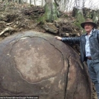 Olbrzymia kamienna kula odkryta w lesie.