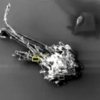 Spekulowano również, że zastrzyki Covid-19 mogą zawierać śladowe ilości tlenku grafenu, wysoce toksycznej i przewodzącej substancji.