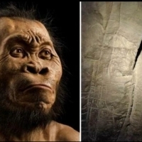 Stwierdzono, że szczątki należały do ​​naczelnych o łacińskiej nazwie Homo naledi.