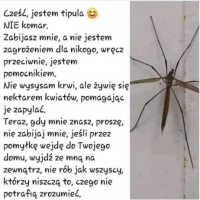 Jestem TIPULA  a nie komar. Nie szkodzę ludziom, lecz im pomagam. Nie piję ich krwi.