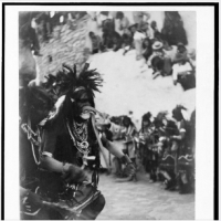 Sheti, Wezowi Bracia, Lizard People, to rasa humanoidalnych gadów według folkloru Hopi.