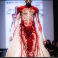 Szatan chodził po czerwonym dywanie w Nowym Jorku podczas tygodnia mody...
