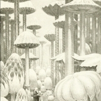 Ilustracje J. Augustusa Knappa do niesamowitej przygody science fiction Johna Uri Lloyda Etidorhpa (1895). 