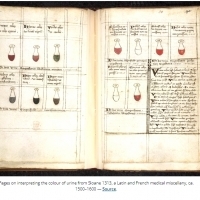 Niespokojne wody.  Czytanie moczu w medycynie średniowiecznej.  według: Katherine Harvey.