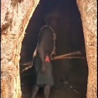 Starożytne baobaby lub jaskinie są wykorzystywane jako alternatywa dla małych tymczasowych chat dla łowców-zbieraczy.