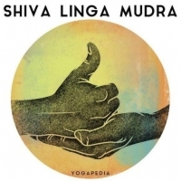Linga Mudra to gest dłoni związany z pierwszą czakrą i pomagający wytworzyć element ognia.