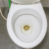 Jak szybko i skutecznie pozbyć się zabrudzeń i osadu z toalety?