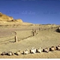 W Egipcie znajdują się nie tylko znaleziska poprzez mumie i grobowce, ale także największy na świecie szkielet wieloryba.