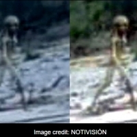 Grey Alien photographed walking alongside river in Tarija, Bolivia?