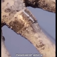 Słynna mumia z Nasca ma obrączkę na palcu.