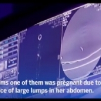 Jaime Maussan udowadnia prawdziwość mumii peruwiańskich.