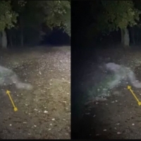 Crawling humanoid figure filmed at haunted National Trust country park in England