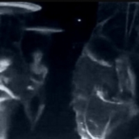 Aliens being "Made, Hatched, Cloned, and Manufactured" by some rogue element within our Government