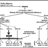 Extraterrestrial Genetic Engineering of two human genotypes began 400,000 years ago