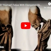 “Human” Fetus With Elongated Skull Found In Bolivia! (Video)