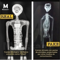 José Jaime Maussan pokazuje różnice między prezentowanym ciałem a tym, o którym mówią niektóre media mówiły i pokazywały.