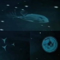 Biological UFOs