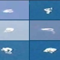 Biological UFOs