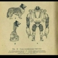 Opracowanie projektu stworzenia robota biologicznego przeprowadzono w latach 1960–1970: