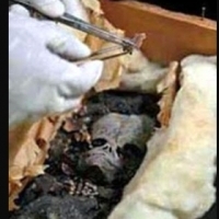 Extraterrestrial Mummy Found In Egypt 2012