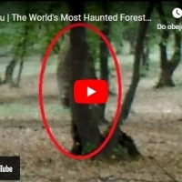 Report of the mysterious UFOs filmed over Hoia-Baciu haunted forest in Romania