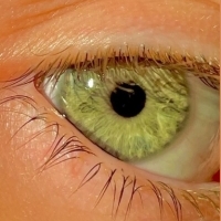 Przepis na nalewke leczącą choroby oczu.