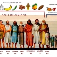 W Starym i Nowym Testamencie Biblii jest mowa o 6 dietach!