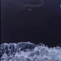 Ningens to humanoidalne stworzenia żyjące w lodowatych wodach w pobliżu Antarktydy.