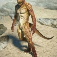 Gady (Reptilianie), często spotykane w scenariuszach uprowadzeń, to gatunek inny niż człowiek o wyraźnych cechach gadzich.