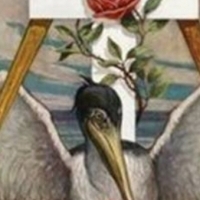 Pelikana można również uznać za przedstawiciela Słońca
